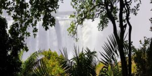 La biophilie, ou comment la nature transforme-t-elle le bien-être de vos salariés ?