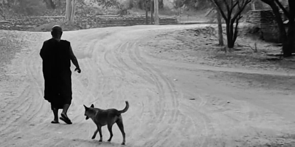 Le 5ème accord toltèque