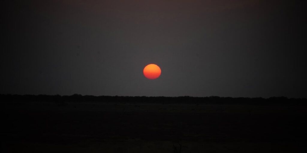 Pleine conscience pour dirigeants