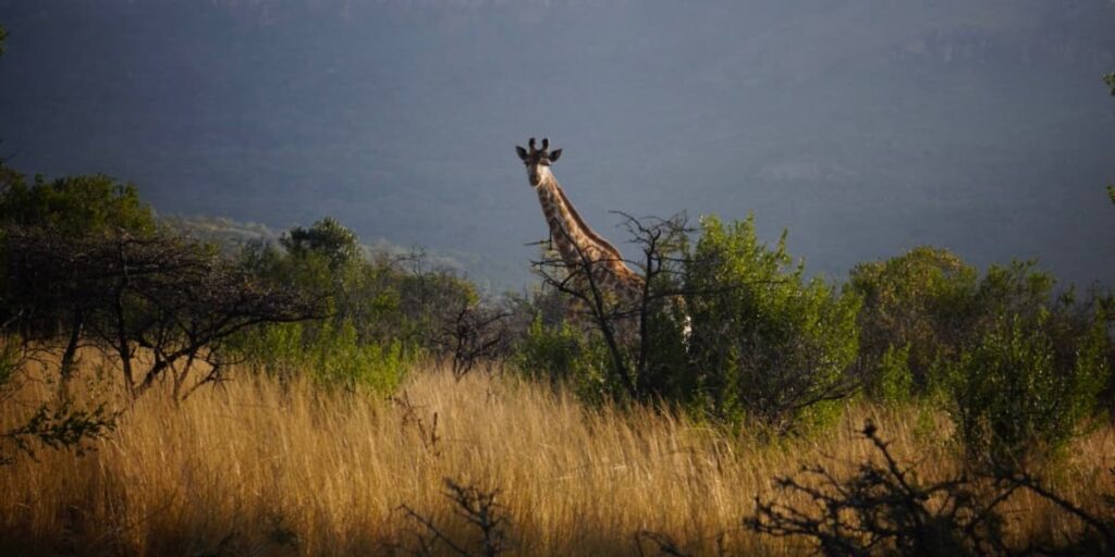 Prendre soin de soi, une démarche essentielle pour votre bien être