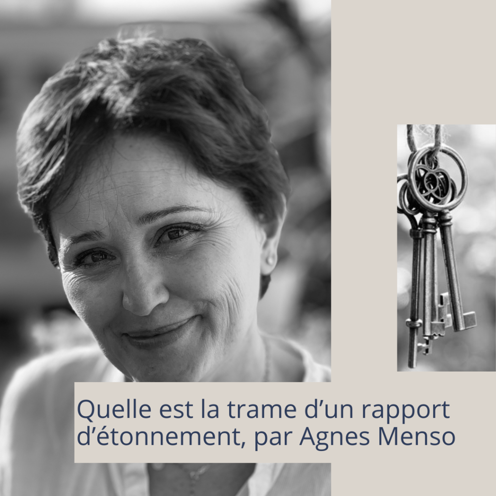 Quelle est la trame d'un rapport d'étonnement