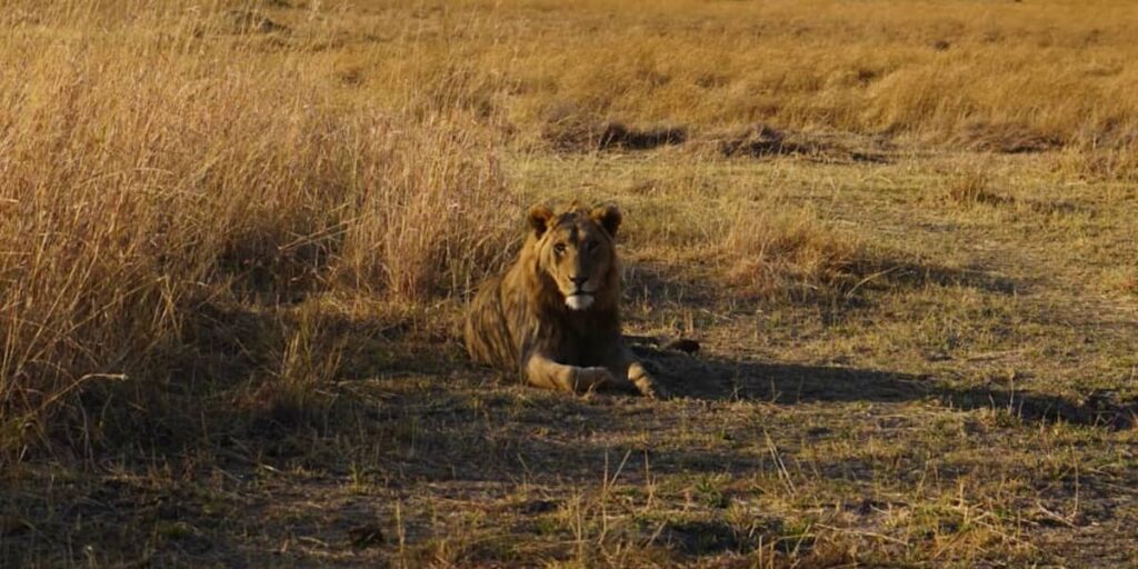 Se faire respecter, question de posture