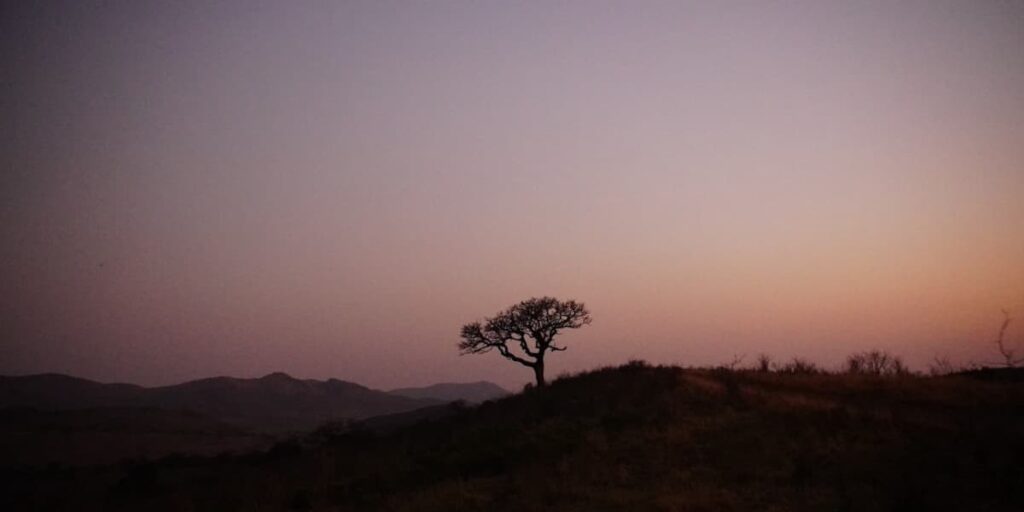 Se faire violence, passage obligé pour avancer dans la vie ?